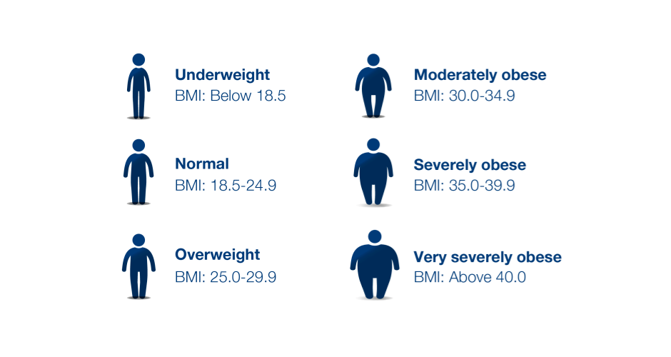 Calculate Your BMI Using Our Free BMI Calculator calculate-your-bmi-using-our-free-bmi-calculator